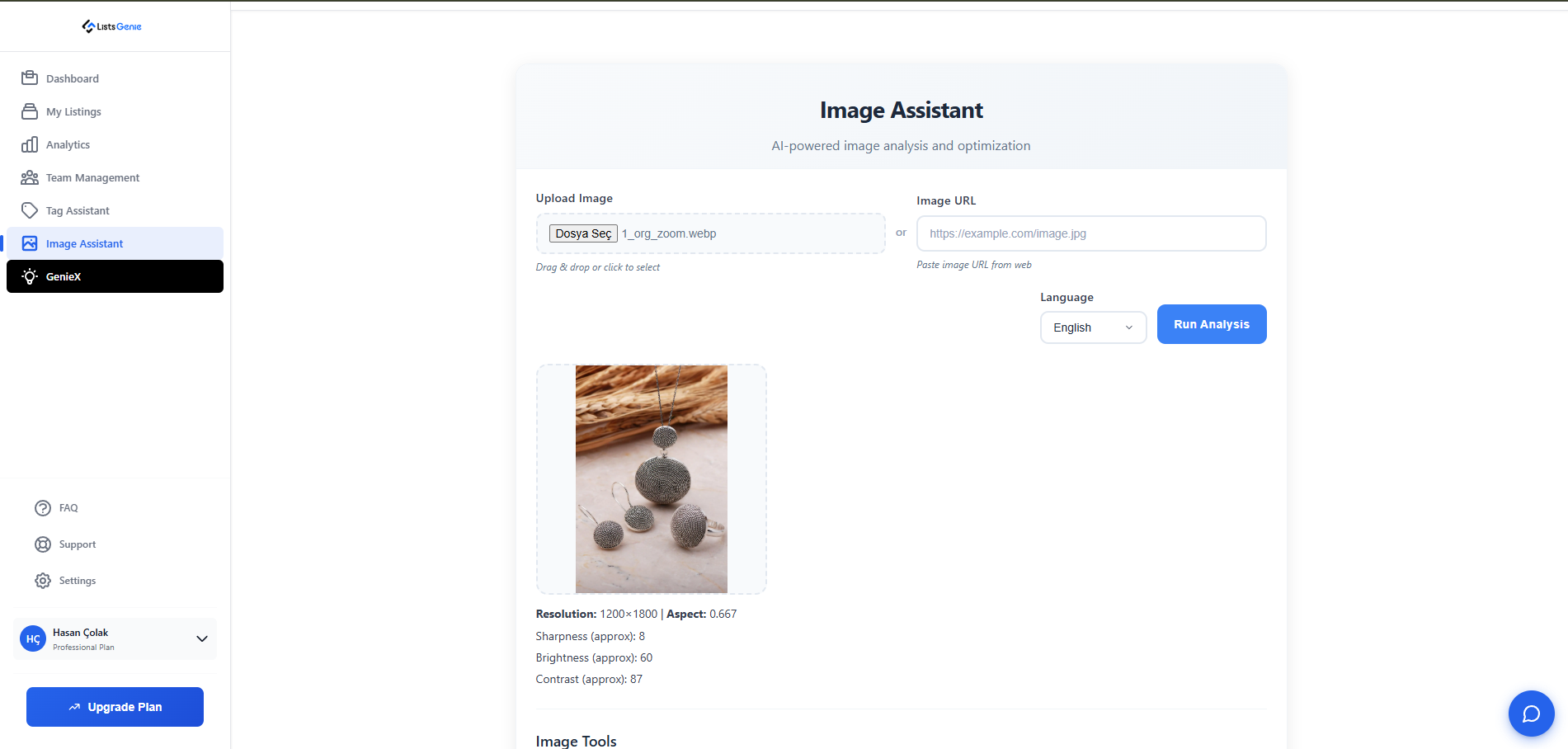 The ListsGenie Image Assistant analyzing an Etsy product photo